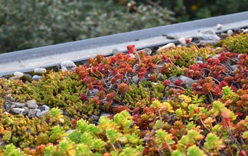 the cost of Yarkhill green roof installation