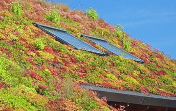 Yarkhill living roof systems