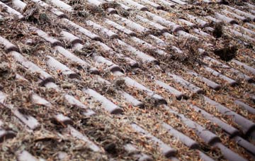 Yarkhill roof cleaning companies